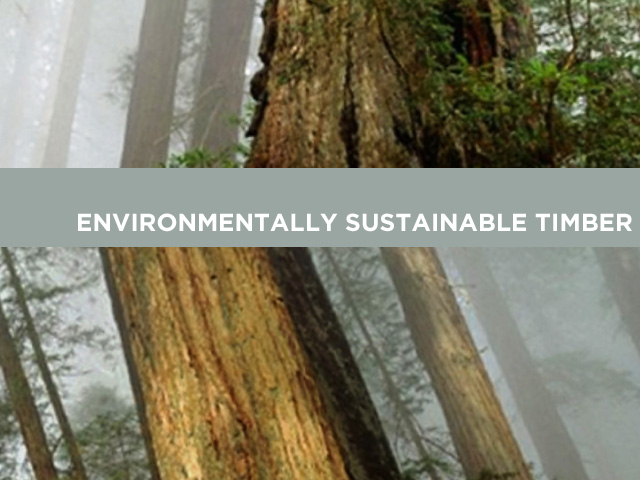 Innovation in Sustainable Timber